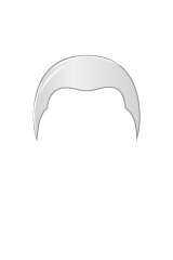 81